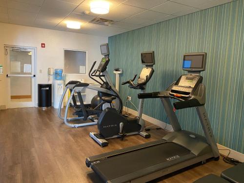 Holiday Inn Express Indianapolis North-Carmel By IHG - 피트니스 센터