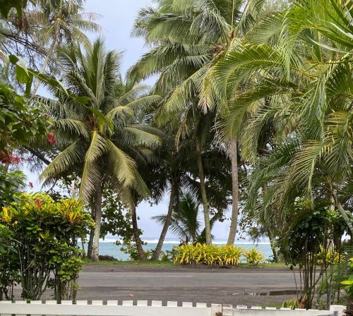 منظر, The Black Pearl Beachside Apartments in Arorangi