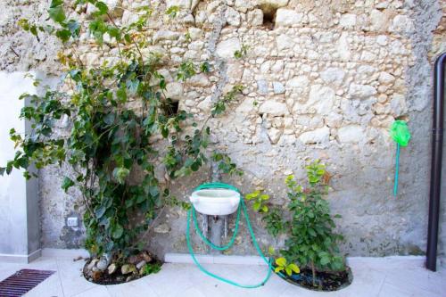 Tropea dall'alto