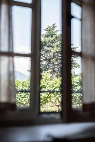 Weingut Kornell - Schafferhaus Cosmas und Zeder