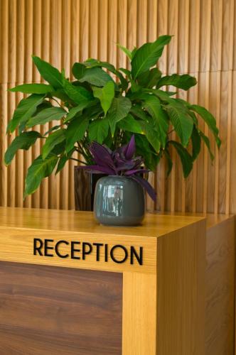 Hotel Admiral - image 12