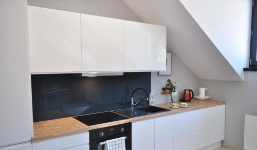 Apartament nad Kamienną, Szklarska Poręba (foto 4)