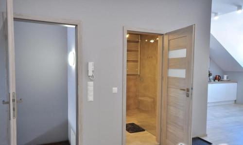 Apartament nad Kamienną, Szklarska Poręba (foto 3)