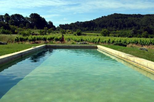 Le Mas Perréal - Chambre d'hôtes - Saint-Saturnin-lès-Apt