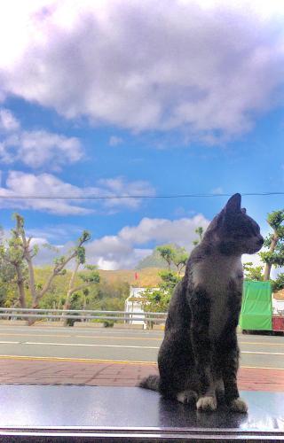 フ ビン ホステル11