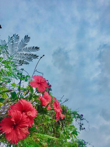 フ ビン ホステル12