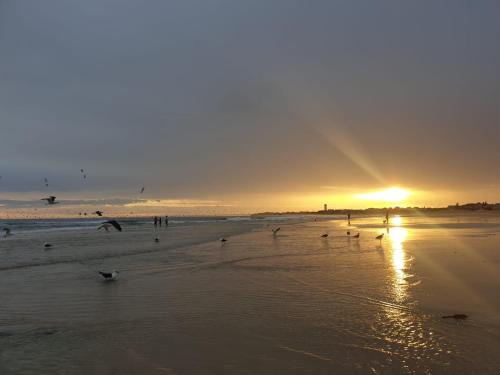 The Sparrow's Nest Beach-Front Self-catering The Sparrow's Nest Beach-Front Self-catering