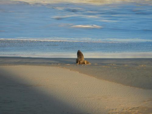 The Sparrow's Nest Beach-Front Self-catering The Sparrow's Nest Beach-Front Self-catering