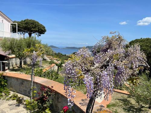  Villa Il Roseto Redinoce in Procchio