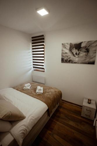Zlatar Apartman br 16 - image 12