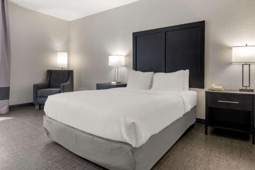Comfort Inn & Suites Greer - Greenville - image 13