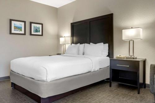 Comfort Inn & Suites Greer - Greenville