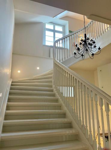 REZYDENCJA BOHEMA in 施扎夫諾茲德魯伊