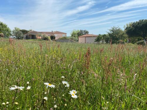 Gîte du Mercadal Les Pujols