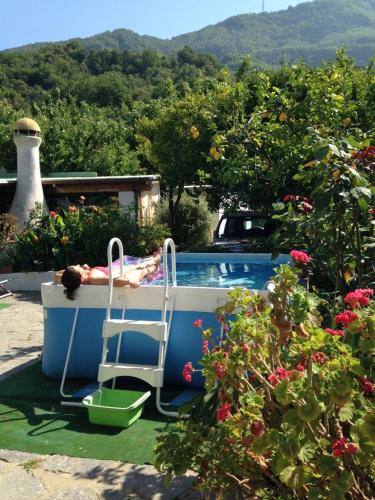  B&B Lodge dell´Ospite Ischia in Ischia
