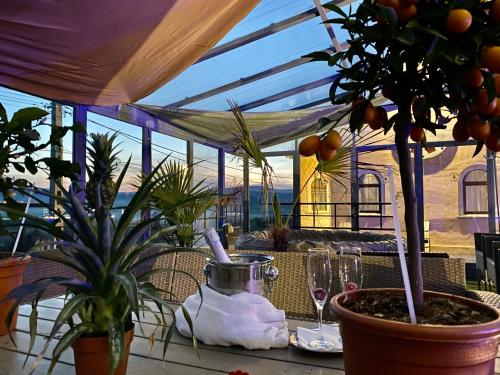 Chateau Vincze in Sátoraljaújhely