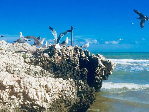 Il gabbiano, attico con terrazzo vista mare