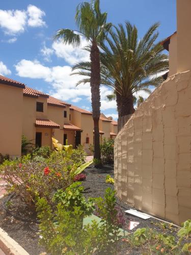 oasis RELAX Corralejo 4