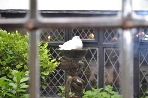 Mermaid Inn - image 11