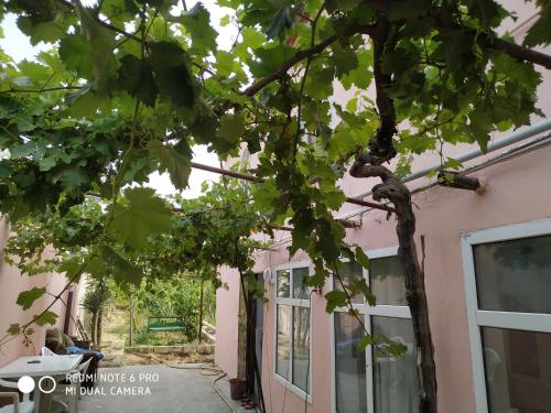 Guest House Novxani