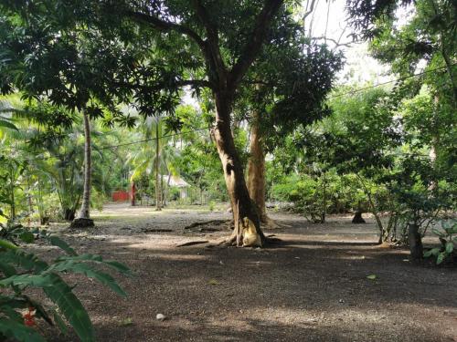 Casa Bambu Cabuya