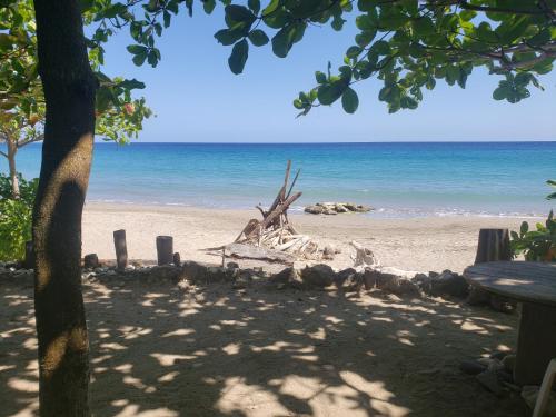 شاطئ, Sea Shell Palms, Ocho Rios in أوكتوريوس