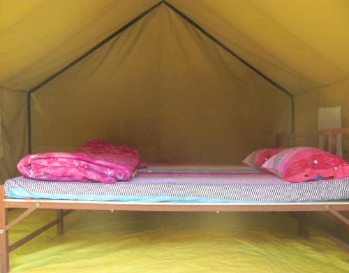 Camping Huts at Lord Shiva Camps