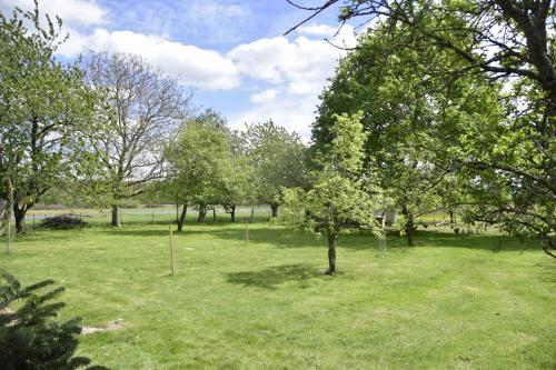 Les jardins des coccinelles - image 7