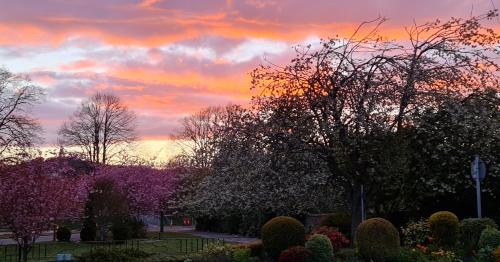 Moray Park Guest House - main image