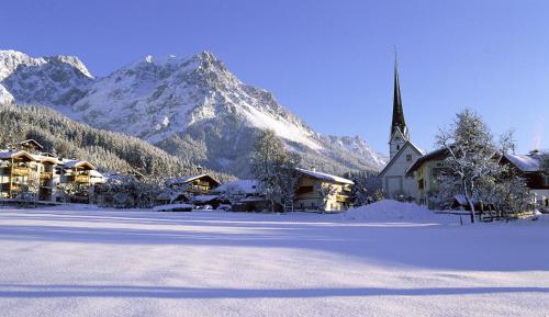 Ferienwohnung Steiner in Scheffau