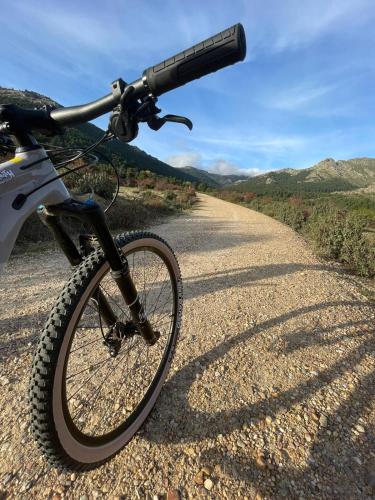 Nava Real - image 10