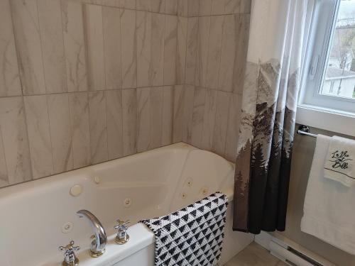 Chalet Mathis in เซนต์-ฟอย (QC)