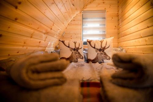 Highland & Transylvania Glamping Pods in Ройбрідж