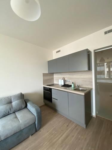 Apartment David O2 Arena Prague 2