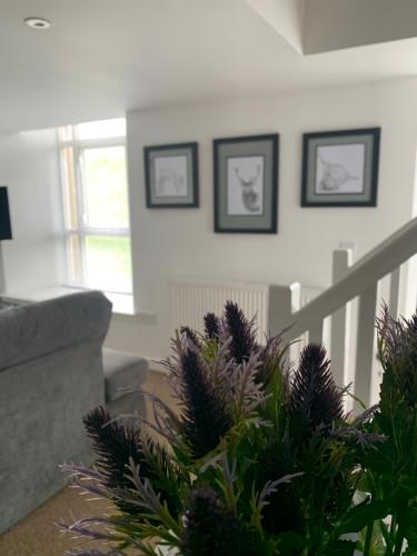 Cliffview Apartment in Arbroath