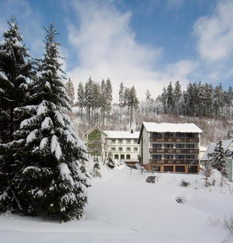 A szálláshely kívülről, Gasthof Rodachtal mit Gastehaus Katharina in Schwarzenbach am Wald