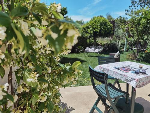 Il giardino di Tatiana - image 5