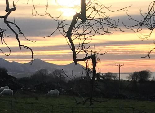The Burrow - Cae Haidd Bach gîte à louer Moel-tryfan