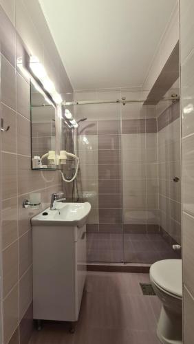 Pensiunea Mădălina - image 8