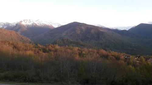 Chalets "les gentianes"