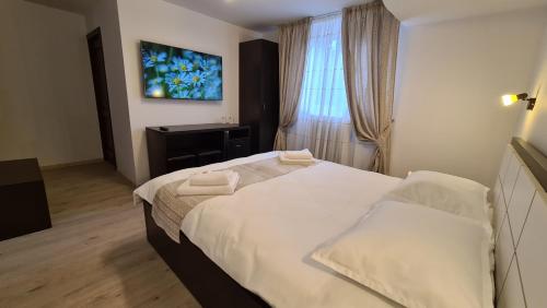 Pensiunea Mădălina - image 4