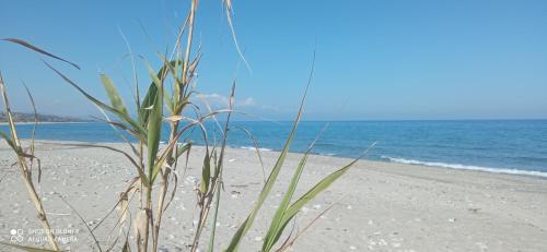 Casale Chiara e Giulia nella natura, al mare, tutti i comfort, wifi e parcheggio gratuito