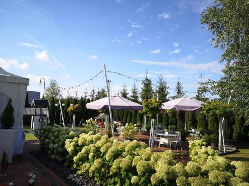 Restaurant, Hotel Constancja in Czestochowa