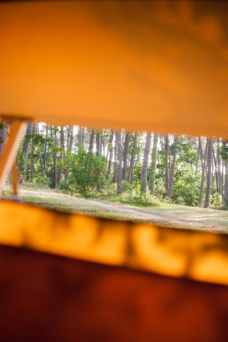 Camping La Teouleyre