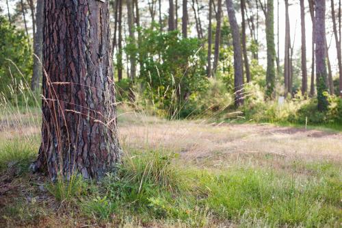 Tente Lodge La Teouleyre in 博恩地區聖於連