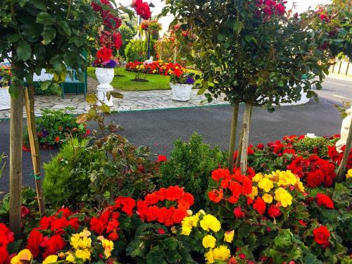 taman, Bruckless Rest - Fine Country Living in Pusat Bandar Sligo