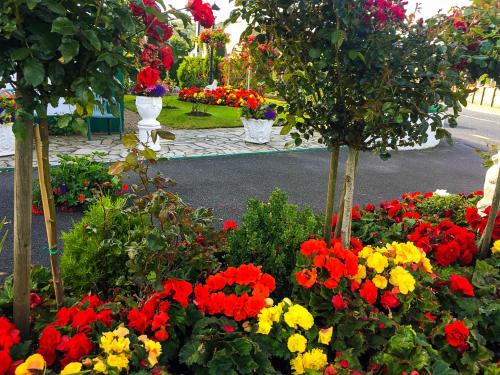 Garden, Bruckless Rest - Fine Country Living in Sligo City Center