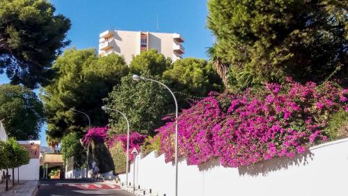 Duquesa de España - image 3