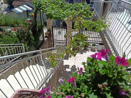 Arijana Accommodation - image 4