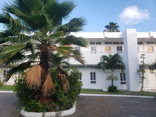 Sea Shell Palms, Ocho Rios